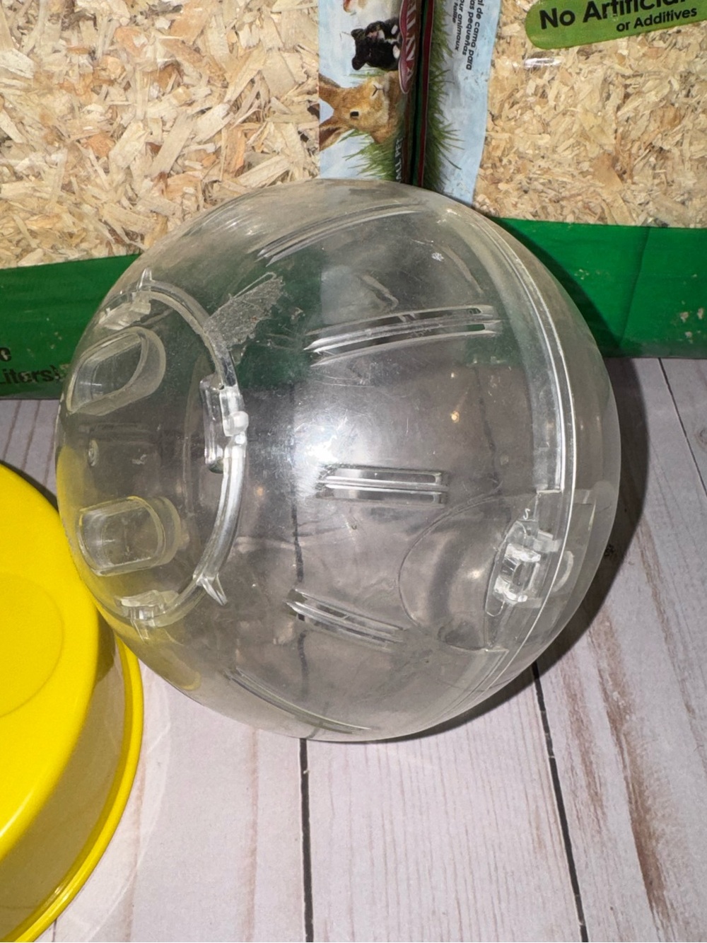 Hamster/Gerbil supplies - Picture 9 of 11